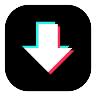 Tiktok Downloader